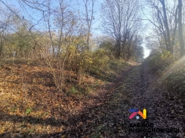 Działka zabudowana o pow. 6200 m2 w Dąbrowie